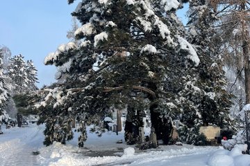 Schnee Friedhof