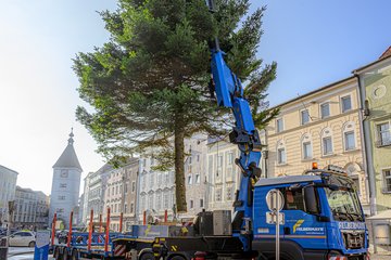 Christbaum Stadtplatz