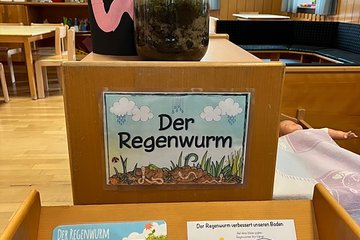 Kindergarten Herminenhof Projekt Regenwürmer