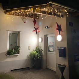 Tierheim Wels mit Weihnachtsdeko