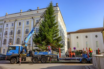 Christbaum Stadtplatz