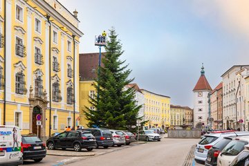 Christbaum Stadtplatz